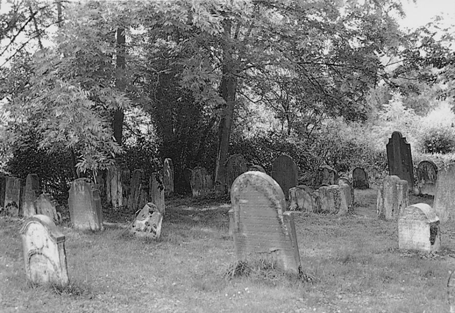Foto aus dem Themenheft: Juden im Paderborner Land im 17. und 18. Jahrhundert, Seite 29, Titel: Jüdischer Friedhof Beverungen; Foto: A. Neuwöhner, 1998 (Wewelsburg, Kreismuseum)